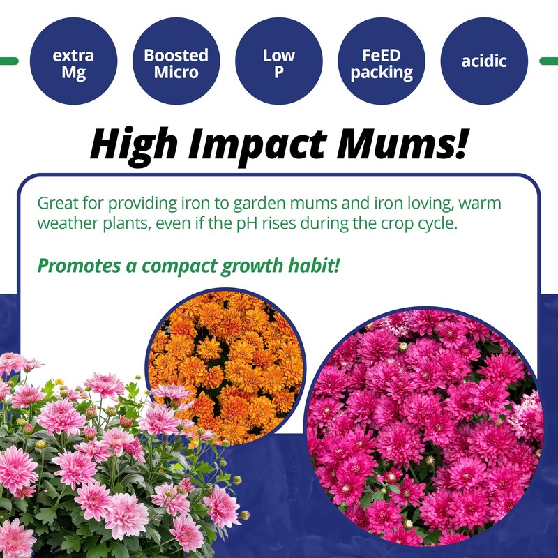 Jack's Professional 22-5-16 Mum Feed Water-Soluble Fertilizer with Micronutrients for