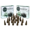 TRUMIRI Eucalyptus Incense Cones - Total 20 Cone Incense -