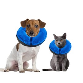 Rinling Dog Cone Collar, Inflatable Dog Cone Soft Protective Pet Recovery Collar After Surgery for Dogs and CatsBlue XS (5-8")
