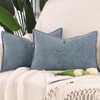 MADIZZ Pack of 2 Chenille Velvet Throw Pillow Covers 12x20
