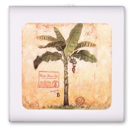 Plug in Dimmable LED Night Light with Dusk to Dawn Auto Sensor, Adjustable Brightness, Warm Light, Auto On-Off Nightlight for Bathroom, Hallway, Nursery, Bedrooms - Big Palm