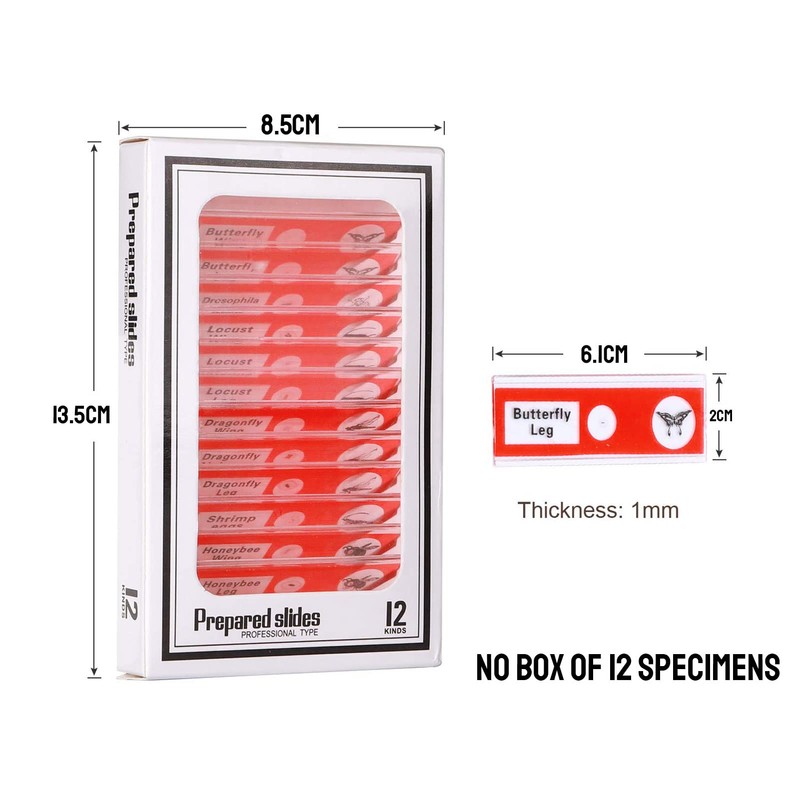 48 Pieces Microscope Accessories, Microscope Slides with Biological Samples, 24