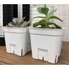 Japan Porihachi Hanbai Prestella 90, Set of 10, White