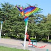 Kite 3D Parrot Kite Easy to Fly Beginner Kites for