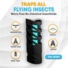 FlyWeb - Fruit Fly Traps for Indoors, Gnat Traps for