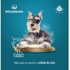 Premios para Perro con Omega 3