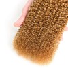 Leruikair Human Hair Bundles 14 16 18 Inch Jerry Curly