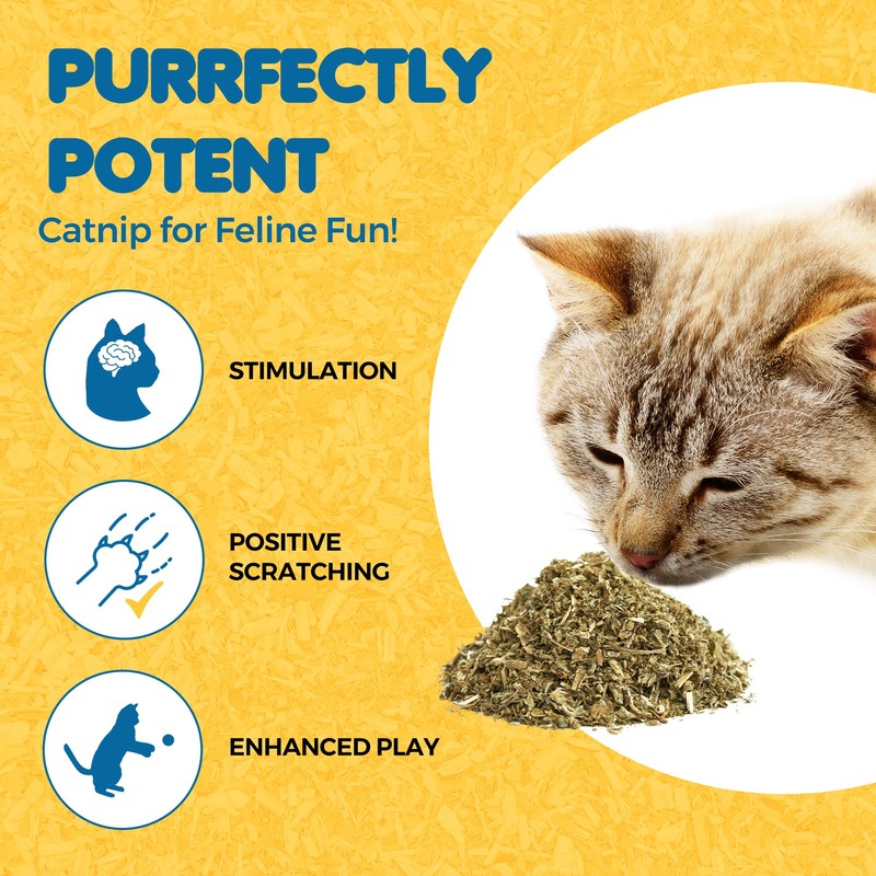 SunGrow Catnip for Cats, for Scratching Posts, Walls, or Pads,