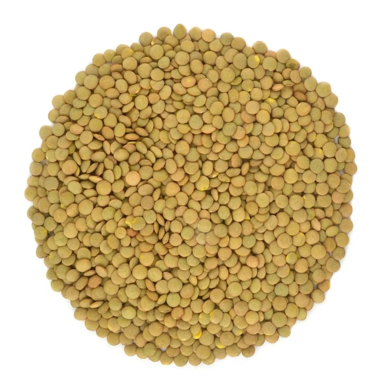 BALTORO FOODS Organic Green Lentils Whole Raw, High Fiber Non-GMO-Bulk