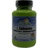 Daily's L Salivarius Probiotic Supplement 120 Capsules Vegan Gluten Free