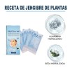 240pzs Hilos Colágeno Solubles Hidrolizado Absorbibles