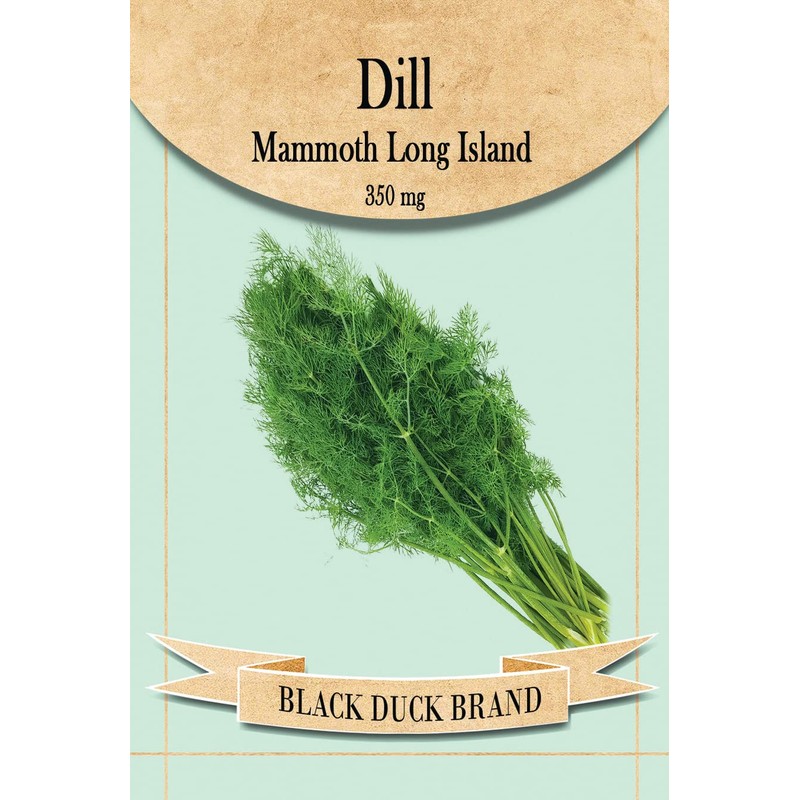 Set of 12 Dill Vegetable Seed Packs - Create a