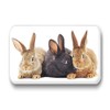 Merchandise for Fans 01 Rabbit Fridge Magnets Rectangular 7 x