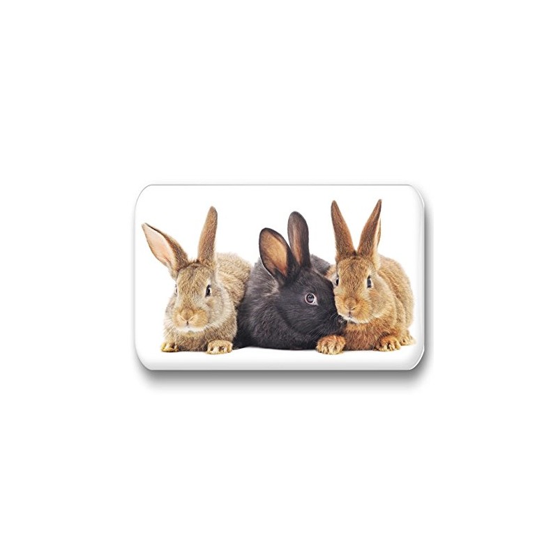 Merchandise for Fans 01 Rabbit Fridge Magnets Rectangular 7 x