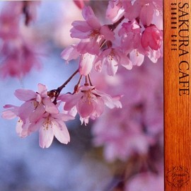 桜カフェ ~SAKURA CAFE~