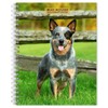 Blue Heelers | 2025 6 x 7.75 Inch Spiral-Bound Wire-O