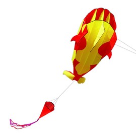 LIXADA Kite, 3D Killer Whale, Sky Kite, Lightweight and Durable, Outdoor Activities, Beach, Park, Children's Toys, Gift