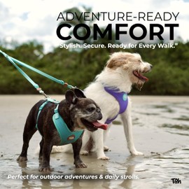 TOH Dog Mesh Harness Durable Stylish Design Puppy Harness with Adjustable Straps, Easy to Use Dog Harness Soft Perfect for Pets Training Outdoor Walking (Lilac, Medium)