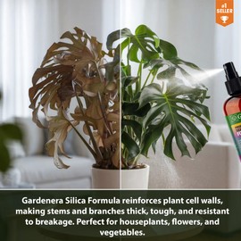 𝐏𝐑𝐄𝐌𝐈𝐔𝐌 Liquid Silica Plant Supplement - 8oz (250mL) - Apricot Tree Liquid Silica Boost Fertilizer - Stronger Stems & Healthy Leaves for Indoor & Outdoor Apricot Plants (Makes 45 Gallons)