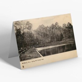 GREETING CARD - Vintage Alabama USA - Mobile. Spring Hill College Lake (c)