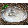 Set of 02 Spoons Shell Spoon Mother of Pearl Caviar