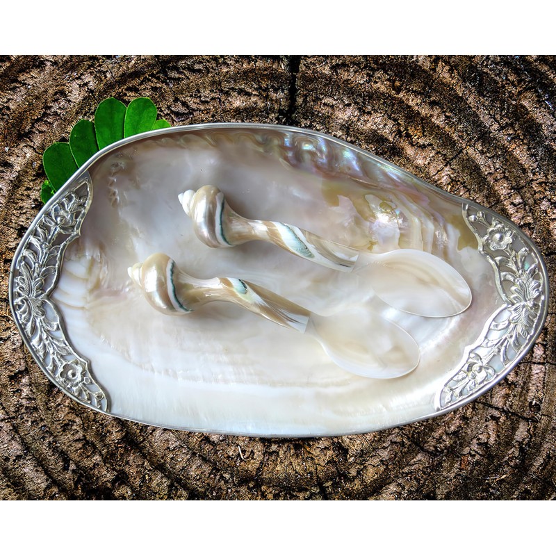 Set of 02 Spoons Shell Spoon Mother of Pearl Caviar