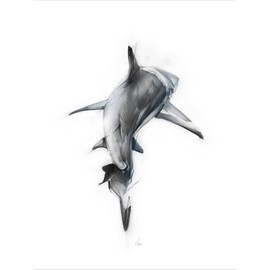 ART.COM Canvas Wall Art Prints Shark 3 by Alexis Marcou, Animals Decor, 24" x 32"