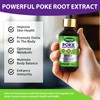 Zooawa Organic Poke Root Herbal Drops | Plant-Based Lymphatic Support