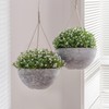 LA JOLIE MUSE Hanging Planter Flower Plant Pots - 9.84