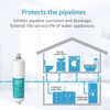 AQUA CREST AP431 Whole House Scale Inhibitor Water Filter, 1