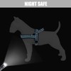 Didog Soft Flannel Padded Dog Vest Harness, No Pull/Quick Fit