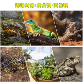 Reptile Light wjl (25 watt (Set of 2))