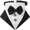 Formal Tuxedo Bandana Wedding Collar With Bow Tie and Neck