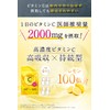高濃度 ビタミンC サプリメント PERFECT C CARE 2000㎎配合 リポソーム タイムリリース 120粒