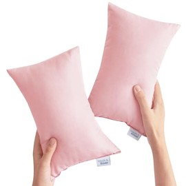 Small Pillow Mini Pillow for Travel 2 Pack, 11" x 7" Tiny Pillow with Name Tag, Small Pillow for Travel and Sleep, Great Small Rectangular Pillow for Neck, Lumbar, Back, Pet Dogs