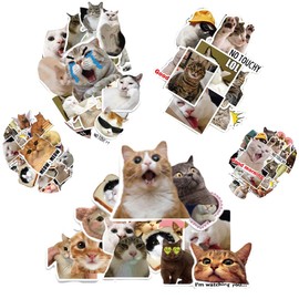 HAMKU 100 Stück meme sticker cute stickers lustige sticker Lustiges Katzen Aufkleber Set Wasserfeste Katzen Meme Sticker für Laptop Mobiltelefone Skateboard Gepäck etc