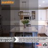 Sunlite 41354-SU LED Filament Chandelier Light Bulb with Flame Tip,