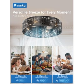 Passky 20" Fandelier Ceiling Fan with Light, Caged Bladeless Ceiling Fans with Remote, Farmhouse Flush Mount Fan for Bedroom, Kitchen, Living Room