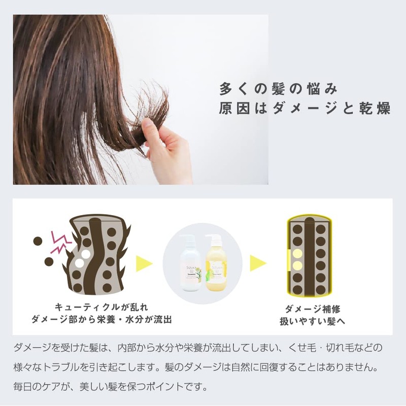 As Style SIZUKA KINU / Shizuka Kino (Shampoo 13.5 fl