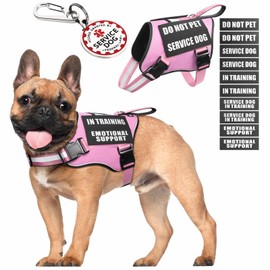 MOOGROU Service Dog Vest Harness+ID Tag+10 Patches,Metal Serivce Dog Tag&Reflective Emotional Support Dog Vest with Handle for Small Dogs,Easy Put On/Off for Training/Walking/Everyday Pink S
