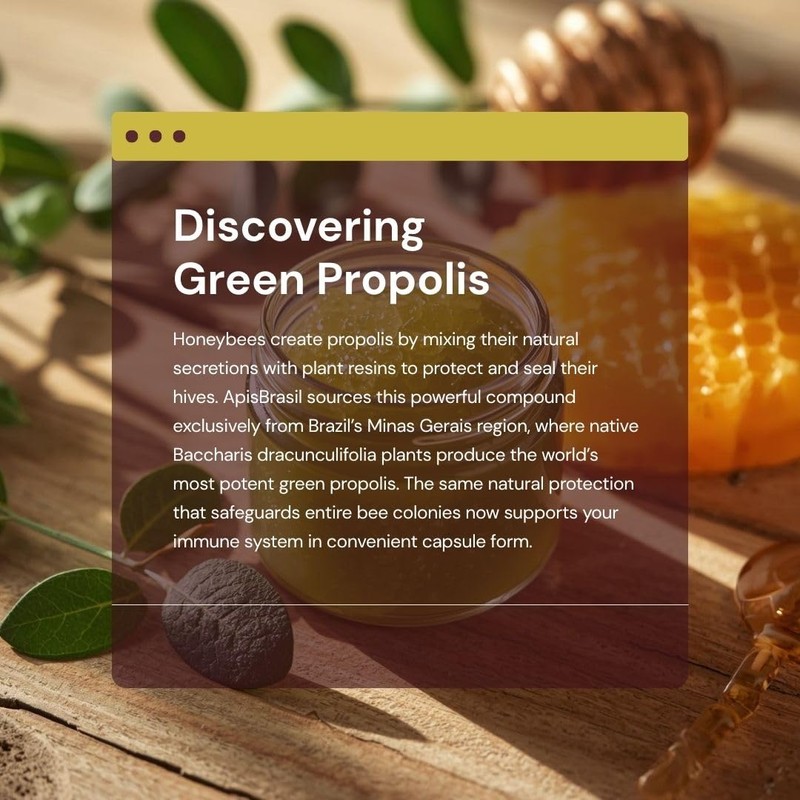 Brazilian Green Bee Propolis Liquid Extract 21% (30ml) - Natural
