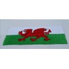 TamersGifts WELSH DRAGON FLAG BEACH VELOUR BEACH TOWEL WALES CYMRU