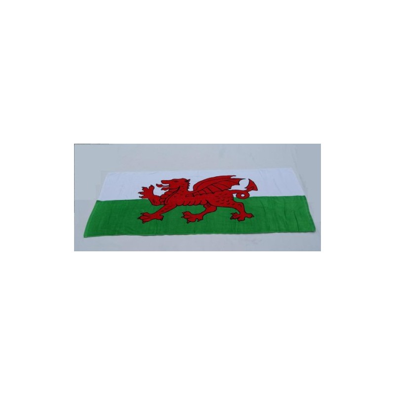 TamersGifts WELSH DRAGON FLAG BEACH VELOUR BEACH TOWEL WALES CYMRU