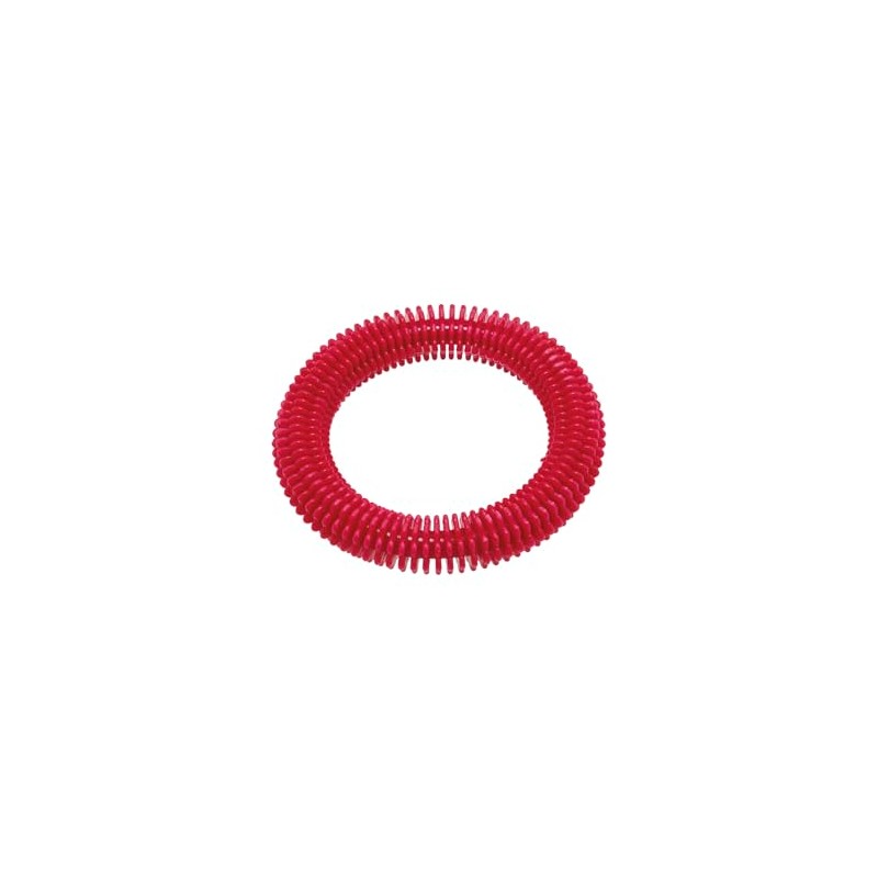 Fashy Kids Round Lamella Diving Ring Swimming Tool - Red