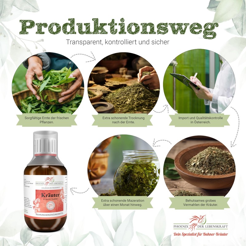 Red Root Sage Tincture (Alcohol-Free) - 150 ml, Salvia Miltiorrhiza