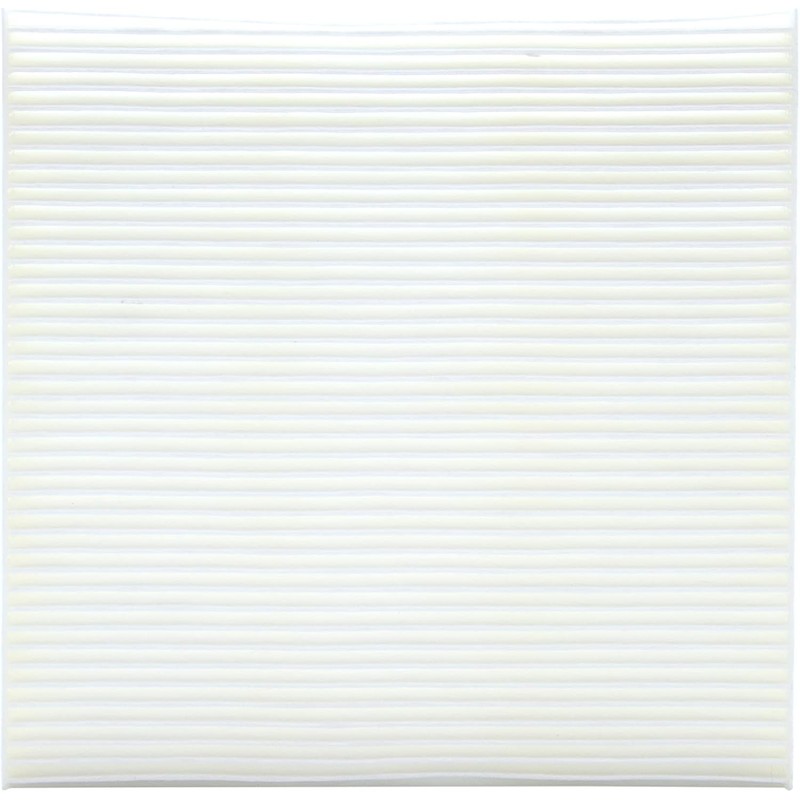 Ecogard XC36080 - Filtro de aire de cabina premium, para