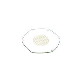 Energy Plate 22 cm