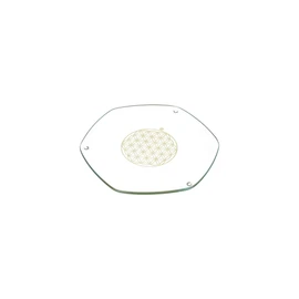 Energy Plate 22 cm