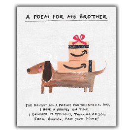 Emotional Rescue,Multi,ZFW9427 Brother Birthday Card, Funny Brother Birthday Card, Birthday Card For Brother, Funny Brother Card For Birthday, Prime, Paper Salad