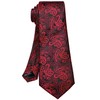 ROBERTO GABBANI Mens Red and Black Paisley Tie and Pocket